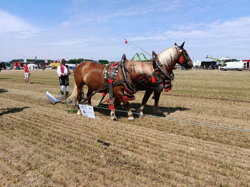 IMG_20260609_105440